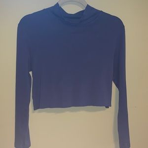 Faded blue turtle neck, cropped